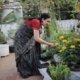 Sujatha Ravi tending her terrace garden in Chennai