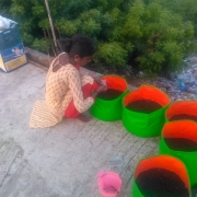 AARFRC - Pudiyador COVID Garden Kit