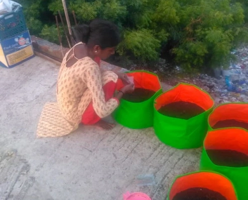 AARFRC - Pudiyador COVID Garden Kit