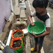 AARFRC - Pudiyador COVID Garden Kit