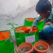 AARFRC - Pudiyador COVID Garden Kit