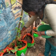 AARFRC - Pudiyador COVID Garden Kit