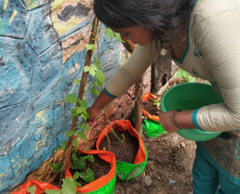 AARFRC - Pudiyador COVID Garden Kit