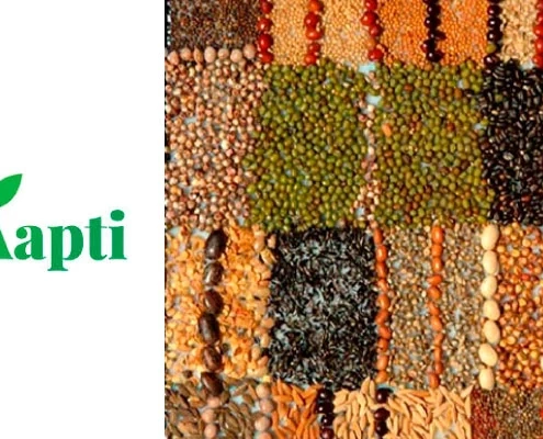 Aapti-Gardening-Solutions