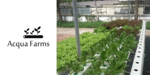 Acqua-Farms