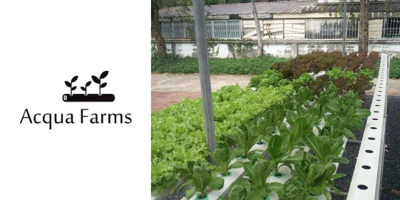 Acqua-Farms