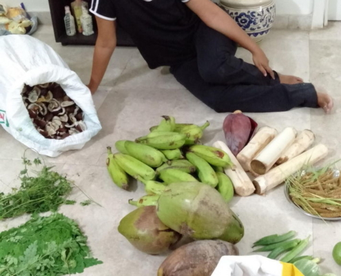 Kalpana, Thottakaran Champion, surrounded by her organic produce