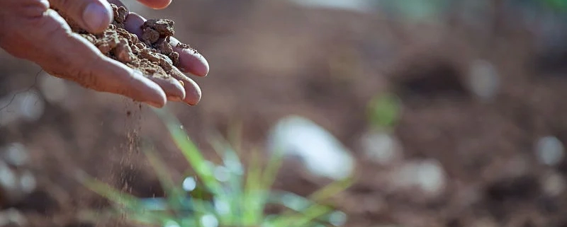 Nutrients and Organic Fertilizers