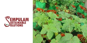 Sempulam-Sustainable-Solutions