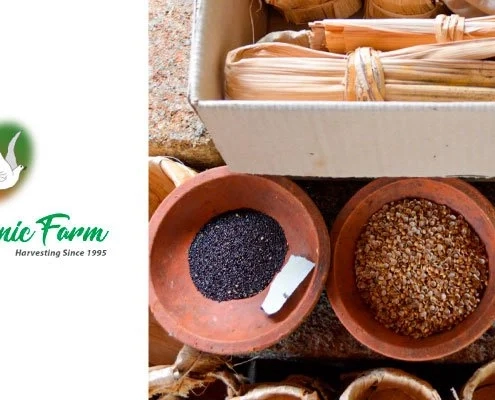 The-Organic-Farm