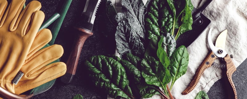 Veg Garden Set Up 101 Veg Garden Set Up 101