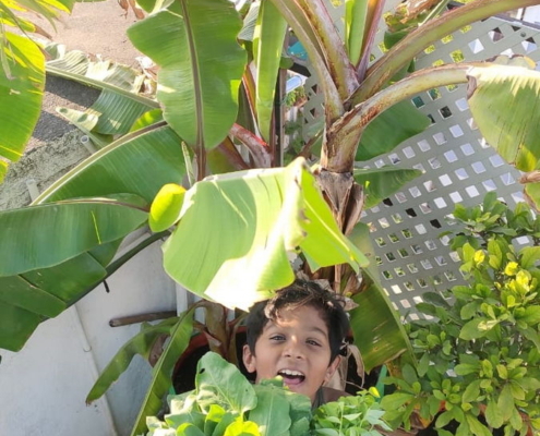 An armful of happy greens