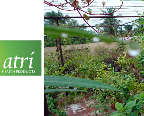 Atri Herbal Plants