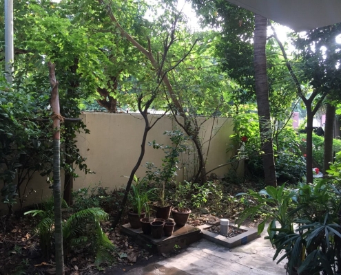 A view of the front garden