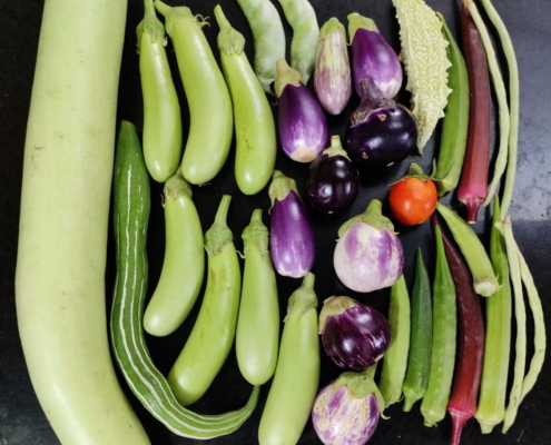 Harvest from Mythreyans Terrace Garden_Indra Gardens