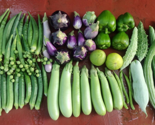 More Harvest from Mythreyan's Terrace