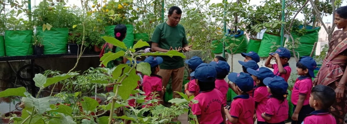 Mythreyan conducting a tour of his terrace garden for school children