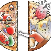 Produce of the City_Dr Parama Roy - The Hindu
