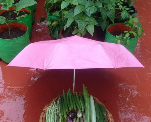 Rainy days and sunny days - theres always fresh veggies at Mythreyans