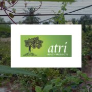 Atri Herbals