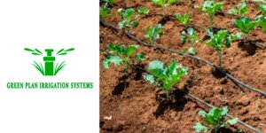 Green-Plan-Irrigation-Systems