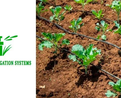 Green-Plan-Irrigation-Systems