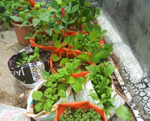 Oinam Devi_Rob Peck_Patchaimadi Challenge Winners (1) Oinam Devi_Rob Peck_Patchaimadi Challenge Winners