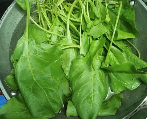 Oinam Devi_Rob Peck_Patchaimadi Challenge Winners (2) Oinam Devi_Rob Peck_Patchaimadi Challenge Winners