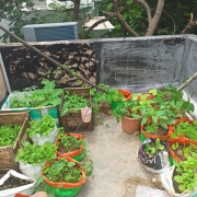 Oinam Devi_Rob Peck_Patchaimadi Challenge Winners (3) Oinam Devi_Rob Peck_Patchaimadi Challenge Winners