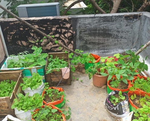 Oinam Devi_Rob Peck_Patchaimadi Challenge Winners (3) Oinam Devi_Rob Peck_Patchaimadi Challenge Winners