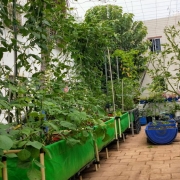 S Raghu_Patchaimadi Challenge Winner (1) S Raghu_Patchaimadi Challenge Winner