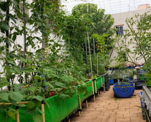 S Raghu_Patchaimadi Challenge Winner (1) S Raghu_Patchaimadi Challenge Winner