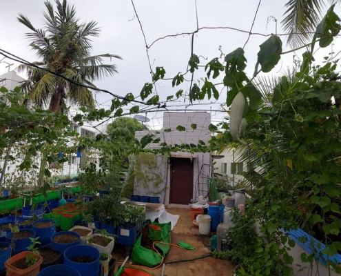 S Raghu_Patchaimadi Challenge Winner (2) S Raghu_Patchaimadi Challenge Winner