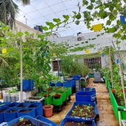 S Raghu_Patchaimadi Challenge Winner