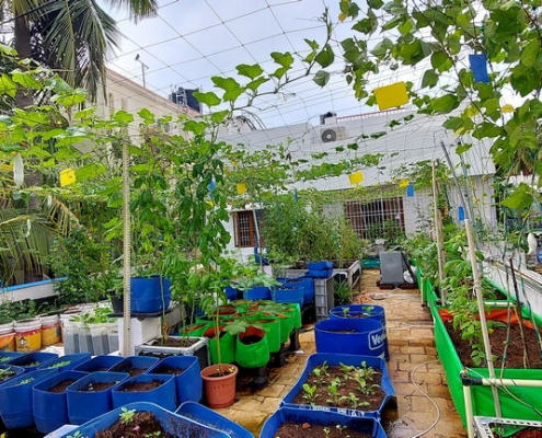 S Raghu_Patchaimadi Challenge Winner (3) S Raghu_Patchaimadi Challenge Winner