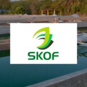 SKOF-Spirulina-Cultivation