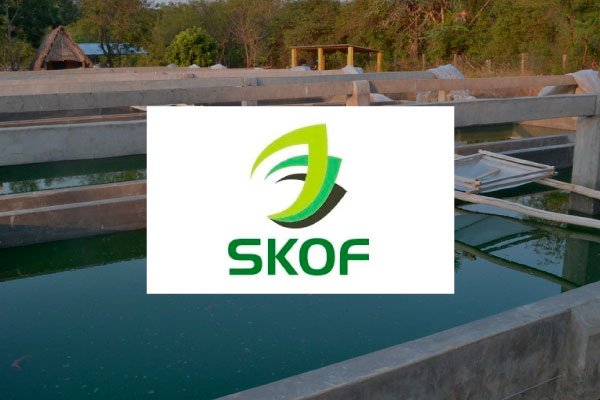SKOF-Spirulina-Cultivation