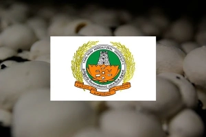 TNAU-Mushroom-Cultivation