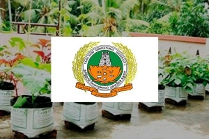 TNAU - Roof Gardening TNAU - Roof Gardening