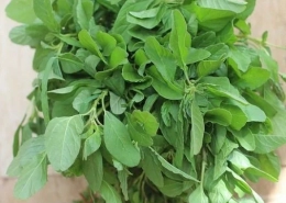 Tropical Amaranth - Siru Keerai