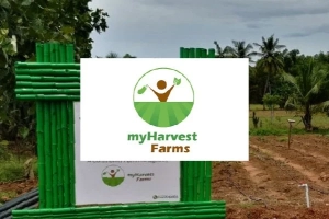 myHarvest Farms