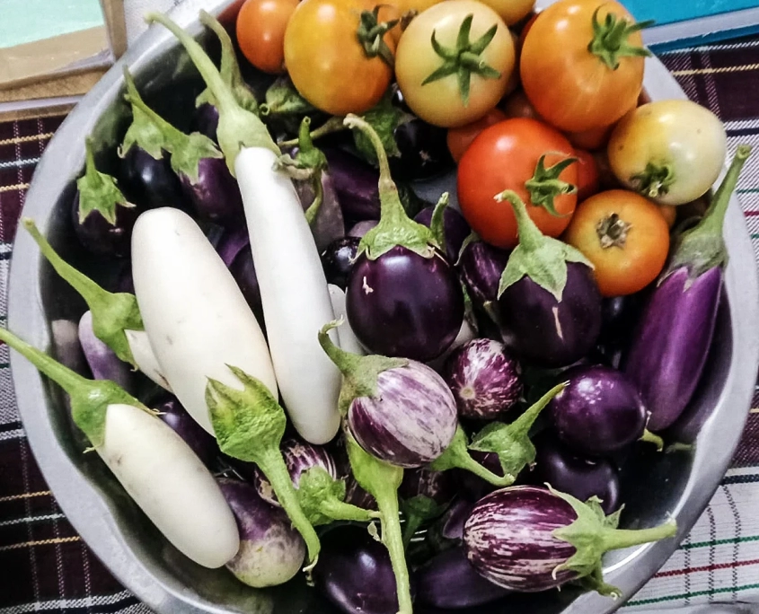 Bountiful Harvest from an Urban Garden
