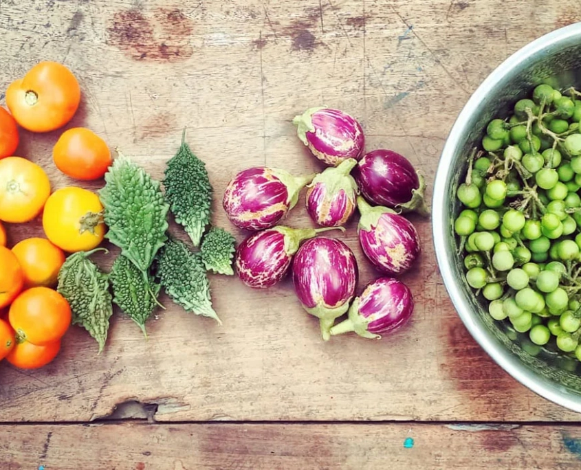 Harvest from a DIY Urban Gardener
