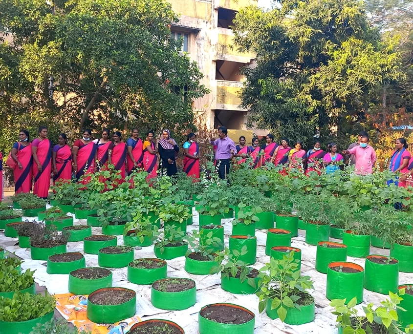 Madras Mali Workforce - Urabn Gardeners Madras Mali Workforce - Urabn Gardeners