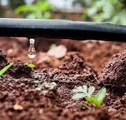 Drip Irrigation for Terrace Gardens Chennai