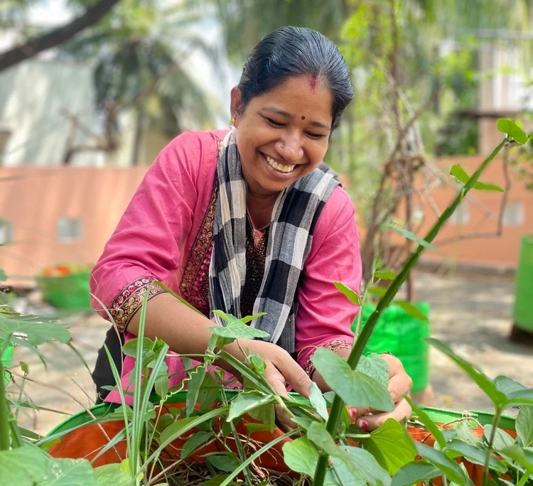 Madras Mali Vegetable Garden Kit Chennai Madras Mali Vegetable Garden Kit Chennai