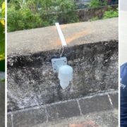 Assessing the Impact of Terrace Gardens in Mitigating Heat