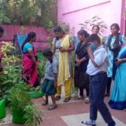Focus Group Discussions - Chennai Urban Farming Initiative_2023